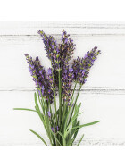 Lavendel Bio (lavandula angustifolia) - Lavendelblüten 100g