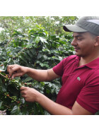 Segel-Kaffee Bio, ganze Bohnen | 100% Arabica aus Nicaragua